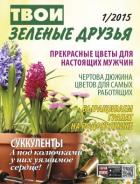 ���� ������� ������